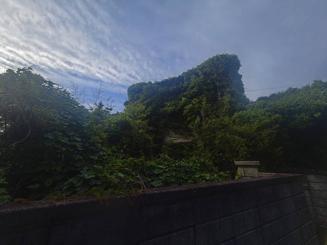 空き家活用相談（仮画像）